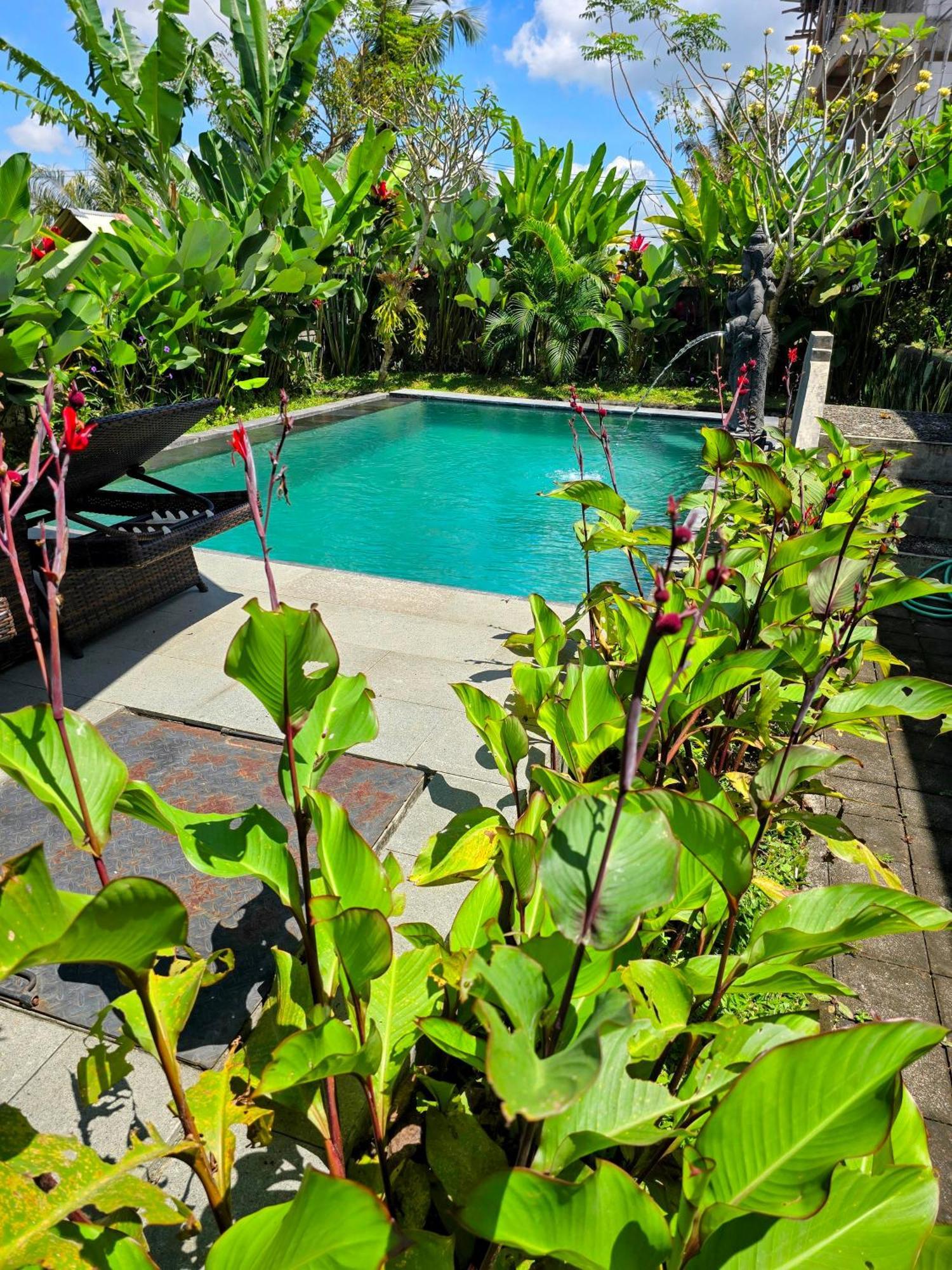 Suija Ubud